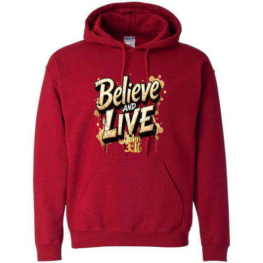 John 3:16 Short Verse Hoodie – The Gospel According To NKJV